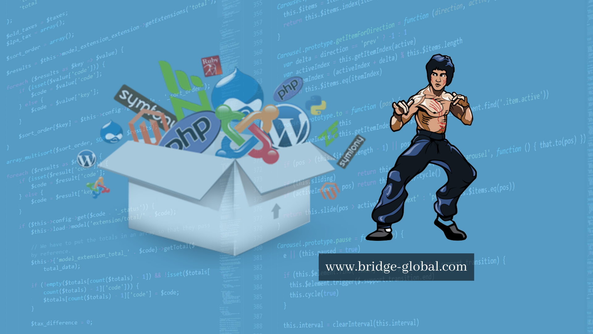 Bruce Lee on Software Development