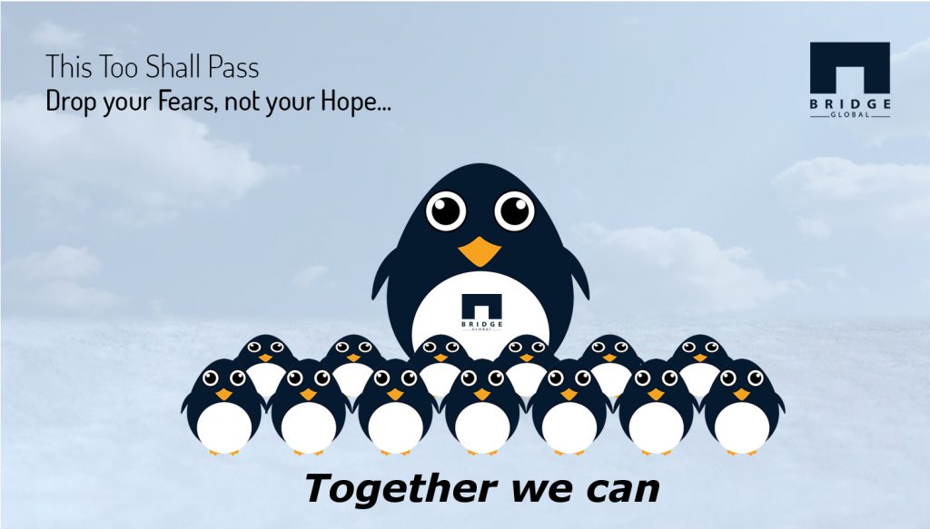 Bridge Global experience COVID 19 response