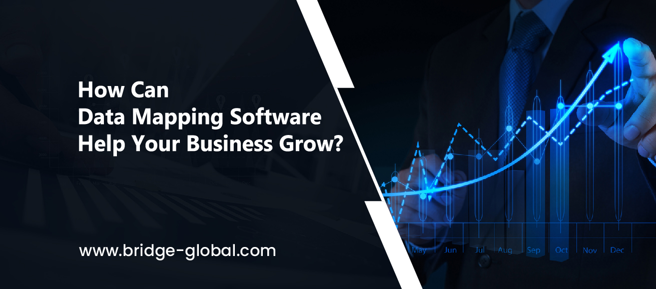 What Is Data Mapping Software? 10 Compelling Reasons to Choose It for Your Business