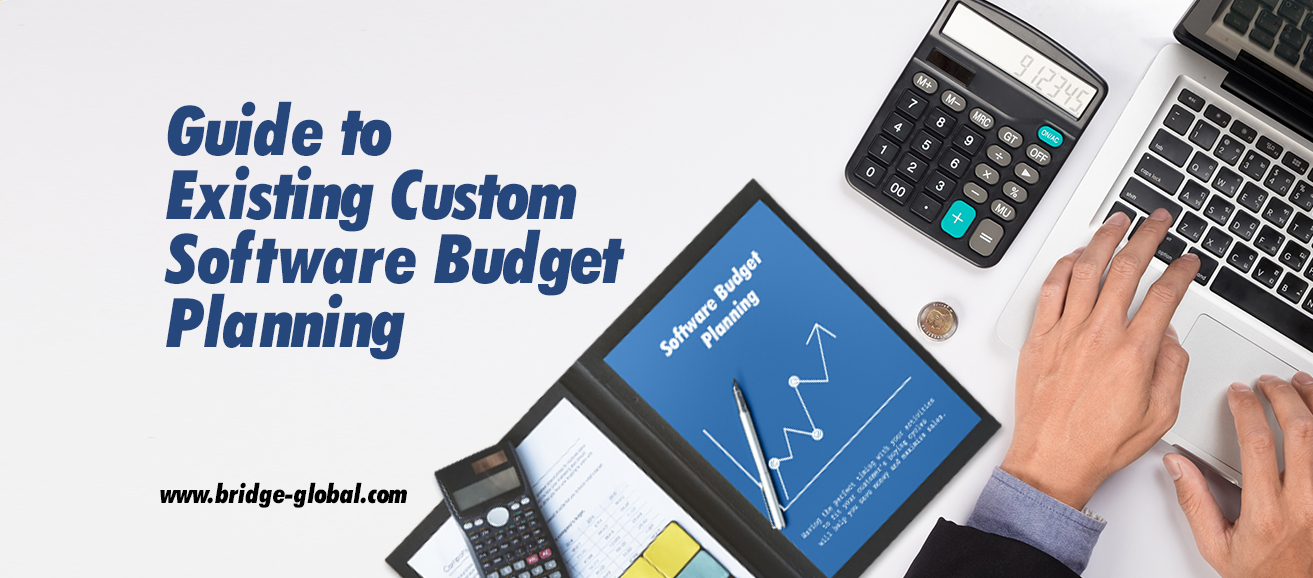 How to Plan Your Existing Custom Software Budget in 2023?