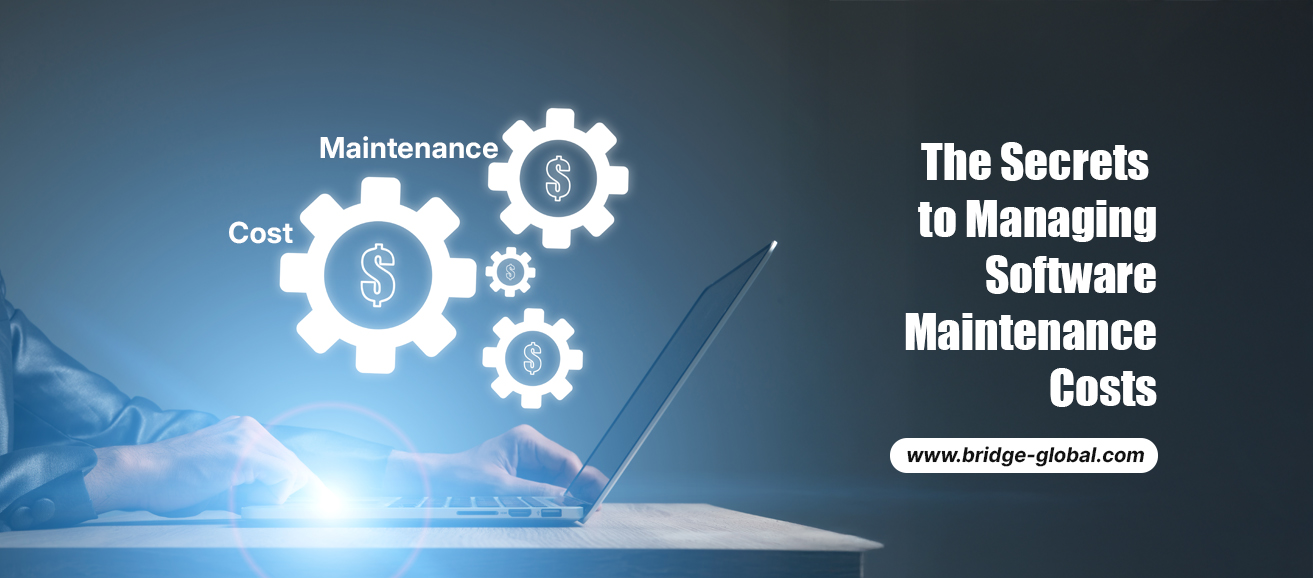 Software Maintenance Cost: Your Go-To Guide